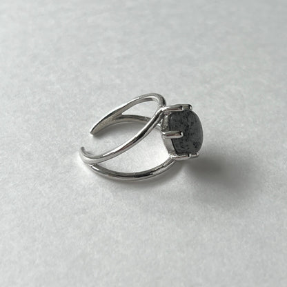 [ black aventurine ] double silver [ free size ]