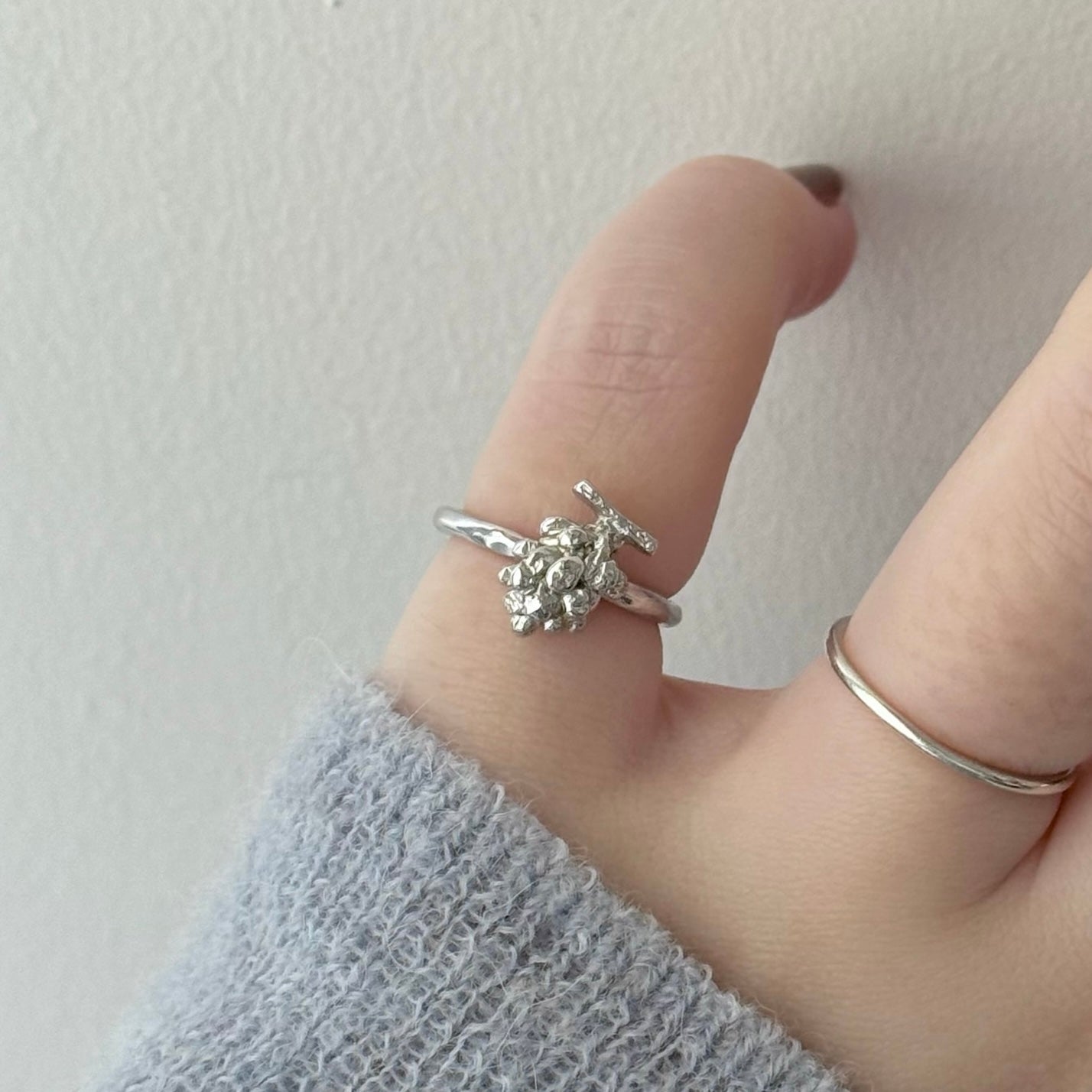 [ silver ] grape pinky