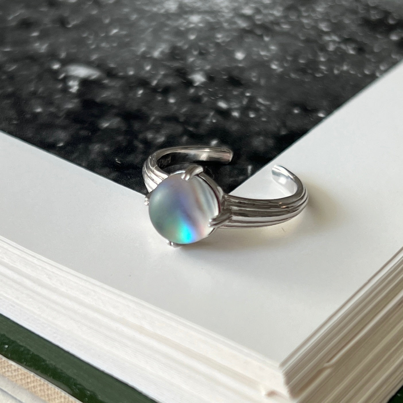 [ avalon shell ] croissant silver