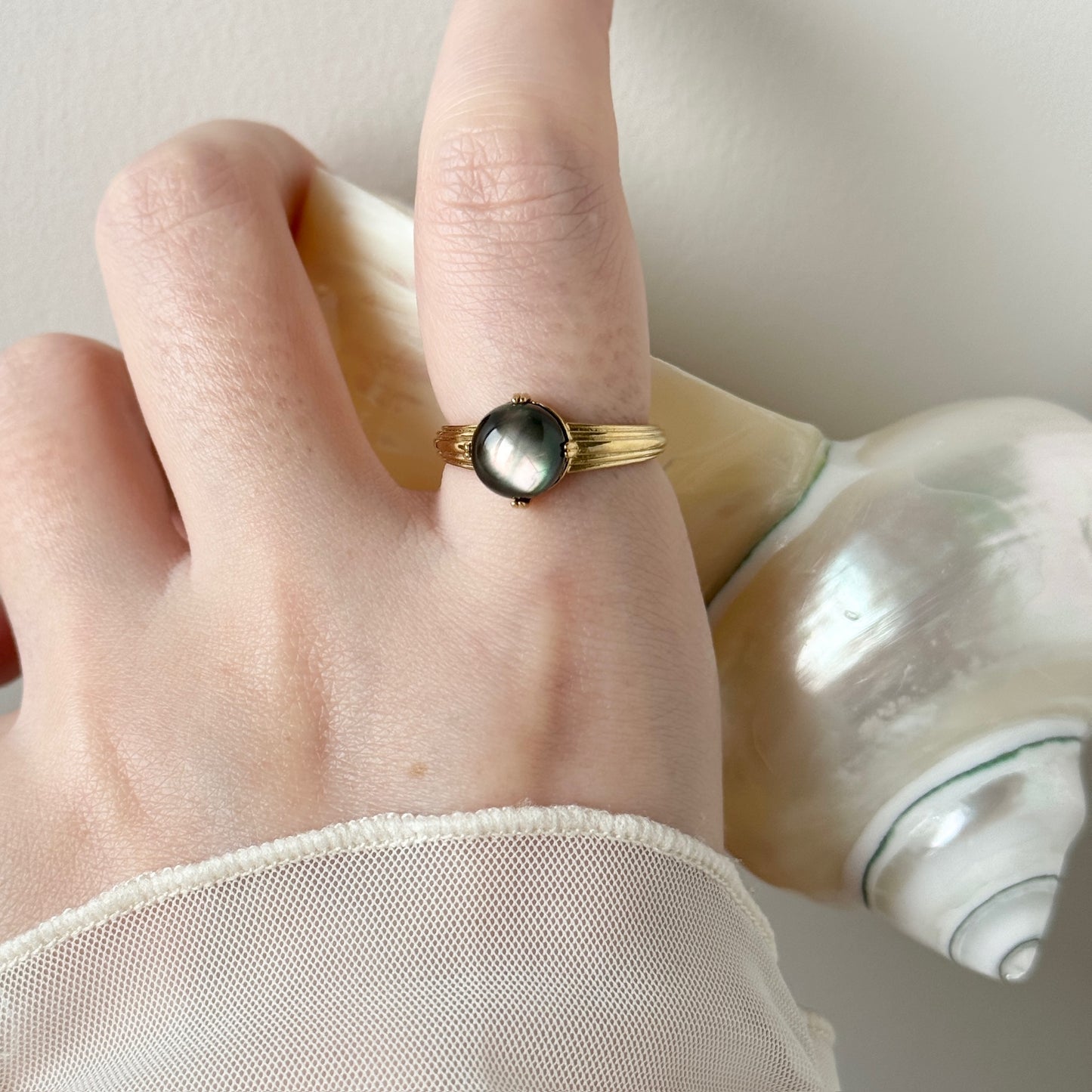[ black shell ] croissant gold