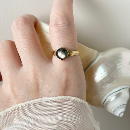 [ black shell ] croissant gold