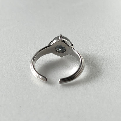 [ future  ] croissant silver