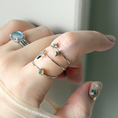 [ labradorite ] procyon silver