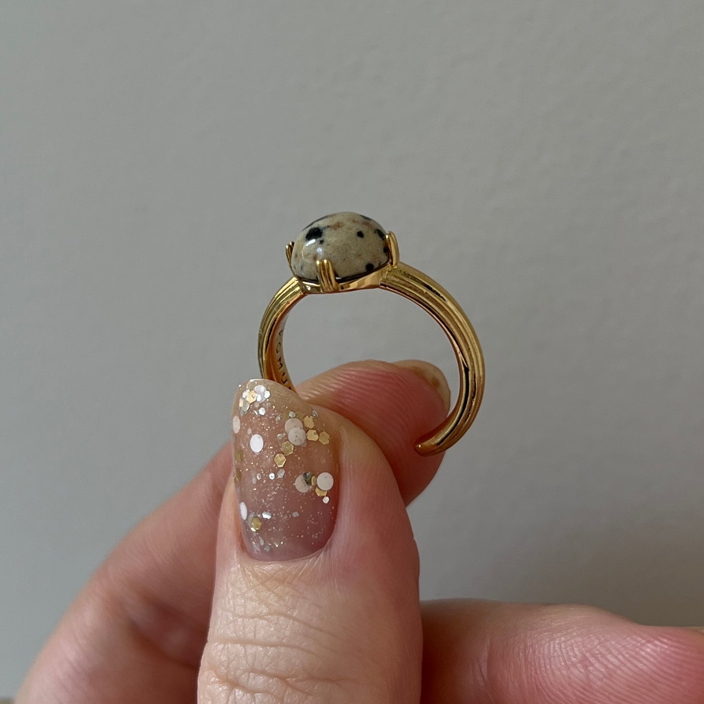 [ dalmatian ] croissant gold