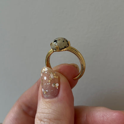 [ dalmatian ] croissant gold