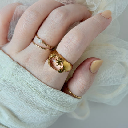 [ blush ] twinkle ring gold