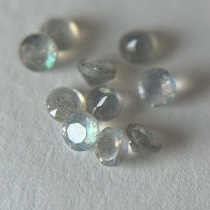 [ labradorite ] procyon silver