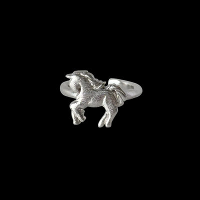 [ silver ] pony pinky