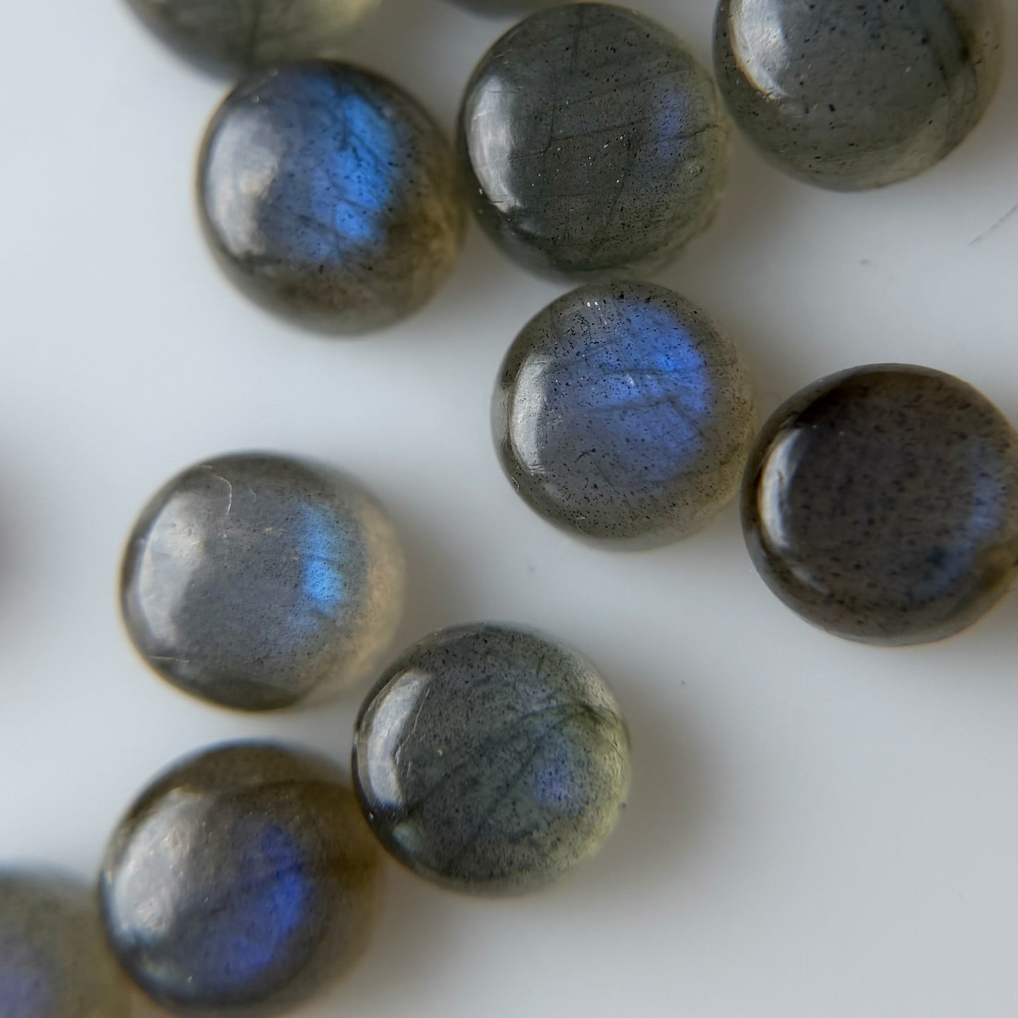 [ labradorite ] luce ring gold