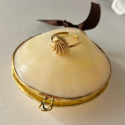 shell case