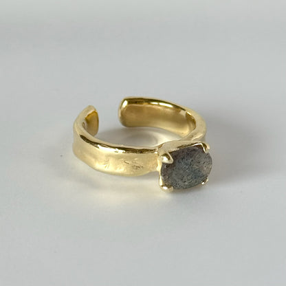 [ labradorite ] um gold ring [ free size ]