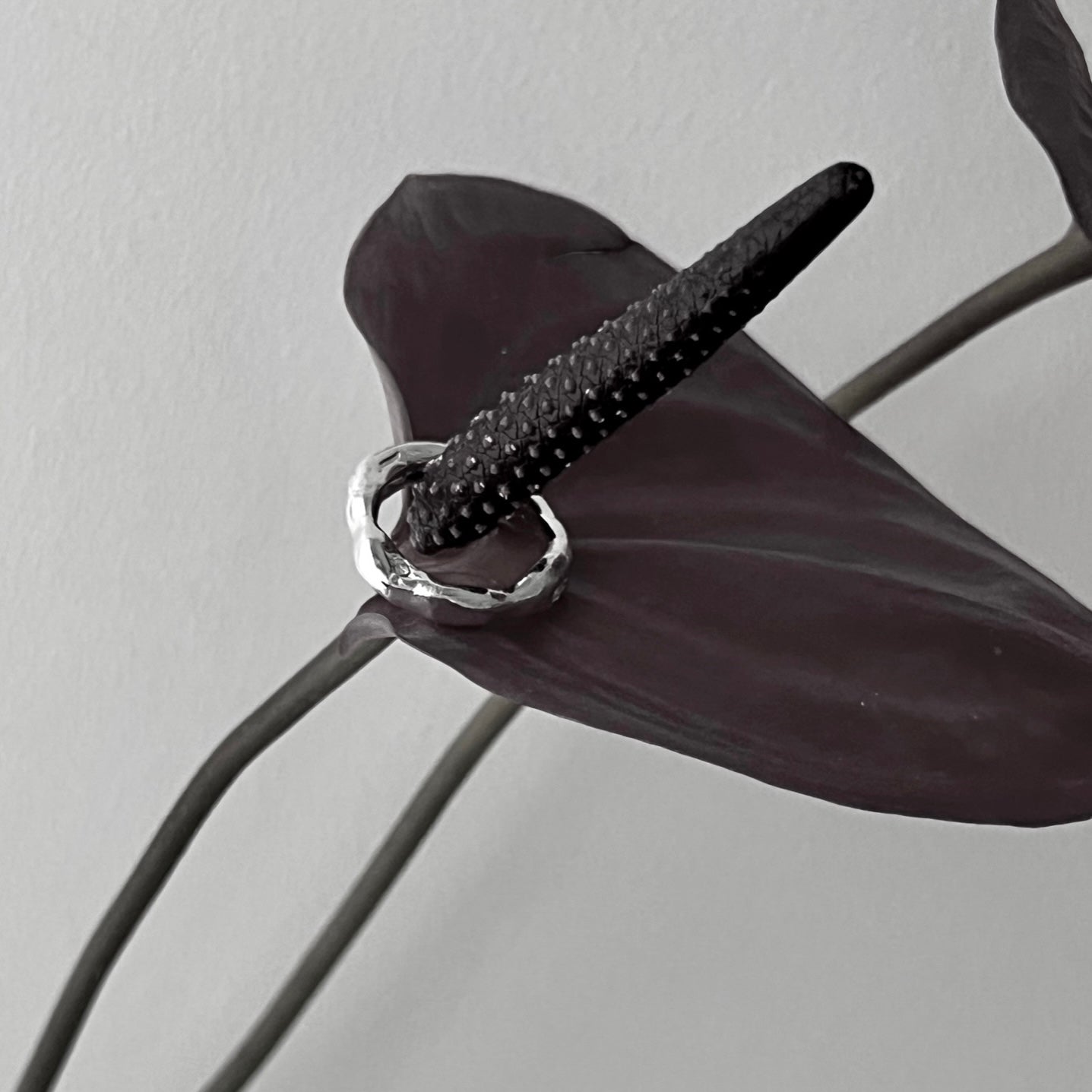[ mint ] nuanced pinky ring [ silver ]
