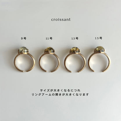 [ black shell ] croissant gold