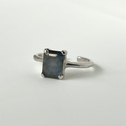 [ labradorite ] rectangle faceted cut silver [ free size ]
