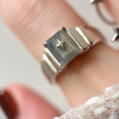 [ labradorite ] telescope silver