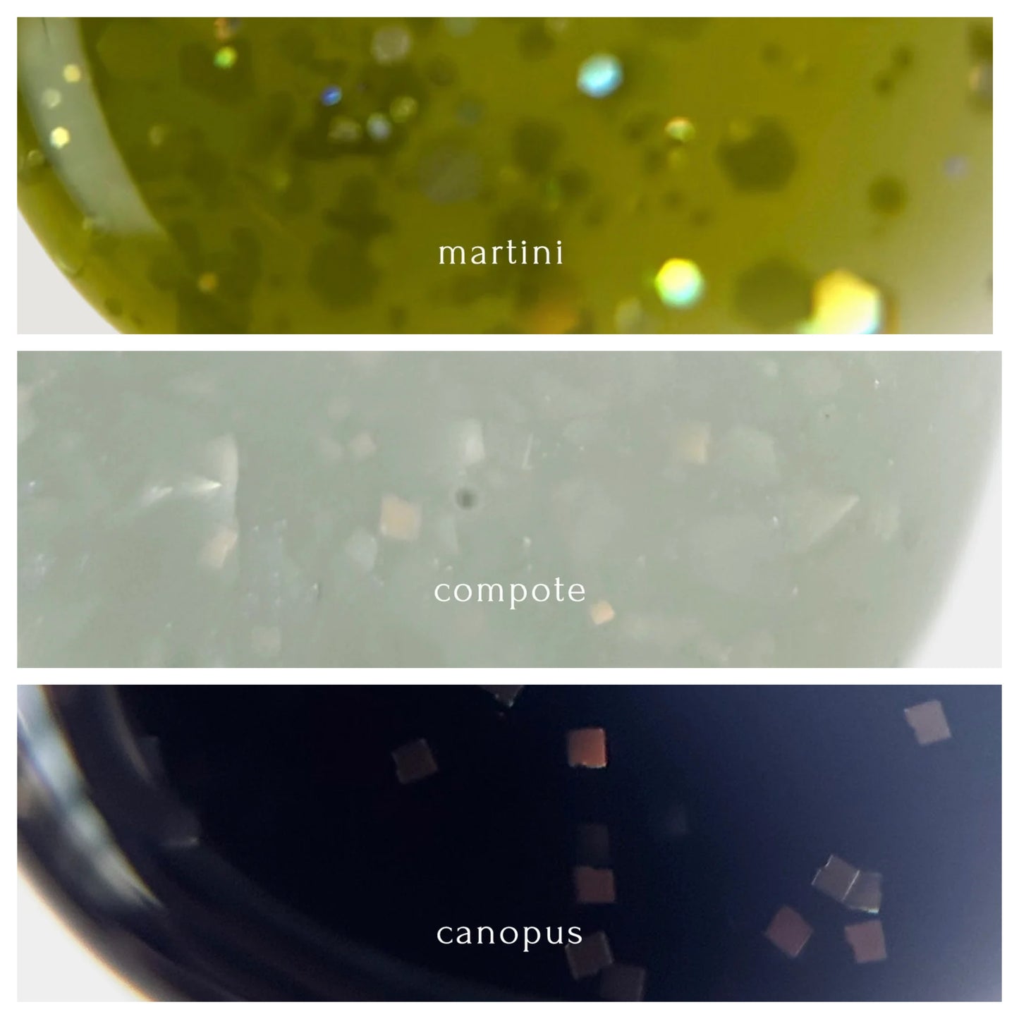 【送料無料】martini + compote + canopus