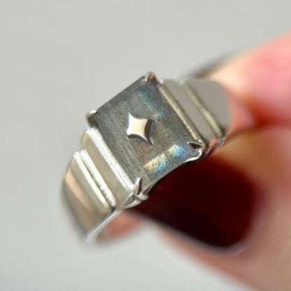[ labradorite ] telescope silver