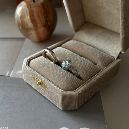 [ future  ] croissant silver