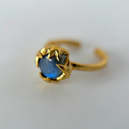 [ labradorite ] luce ring gold