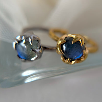 [ labradorite ] luce ring gold