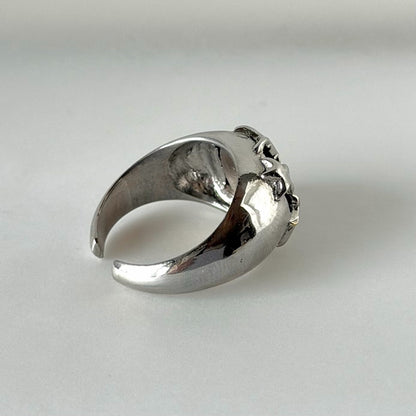 [ moss gray ] twinkle ring silver