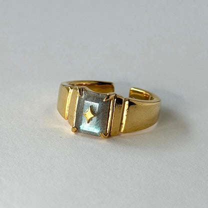 [ labradorite ] telescope gold