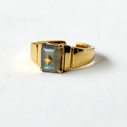 [ labradorite ] telescope gold