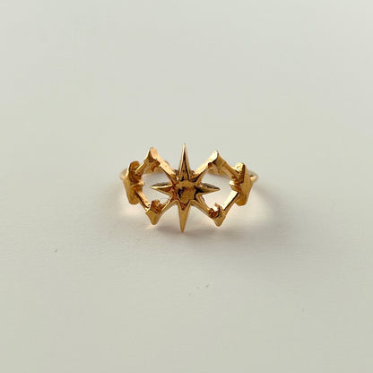 [ gold ] astrolabe [ free size ]