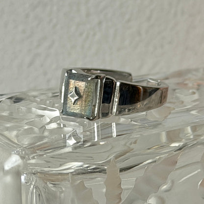[ labradorite ] telescope silver