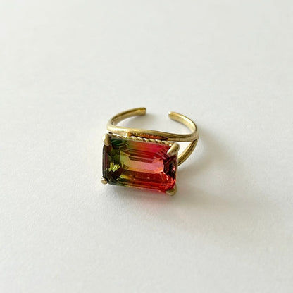 [ bicolor tourmaline WATERMELON ] reine gold - rectangle