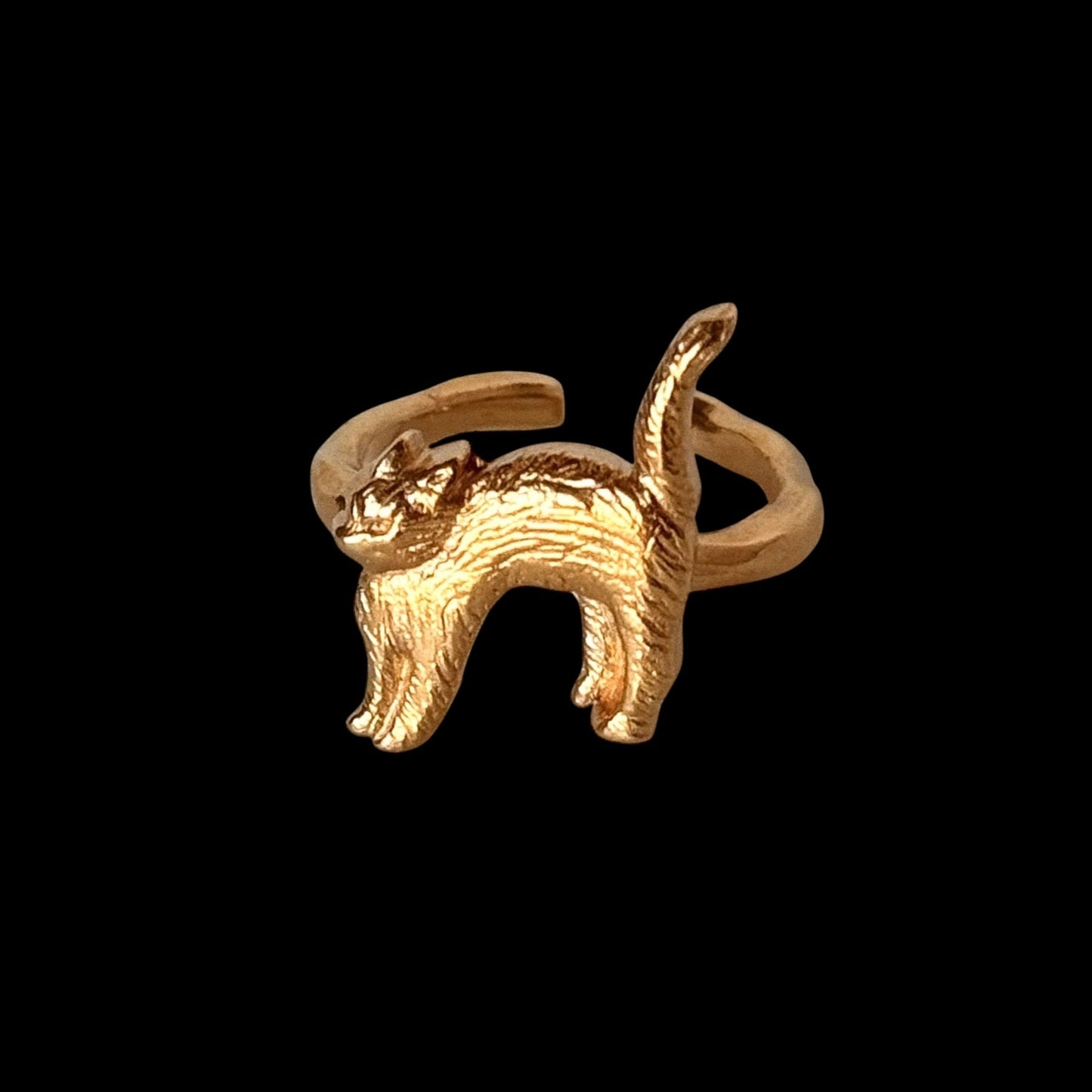 [ gold ] cat pinky [ free size ]