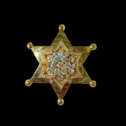 Star brooch
