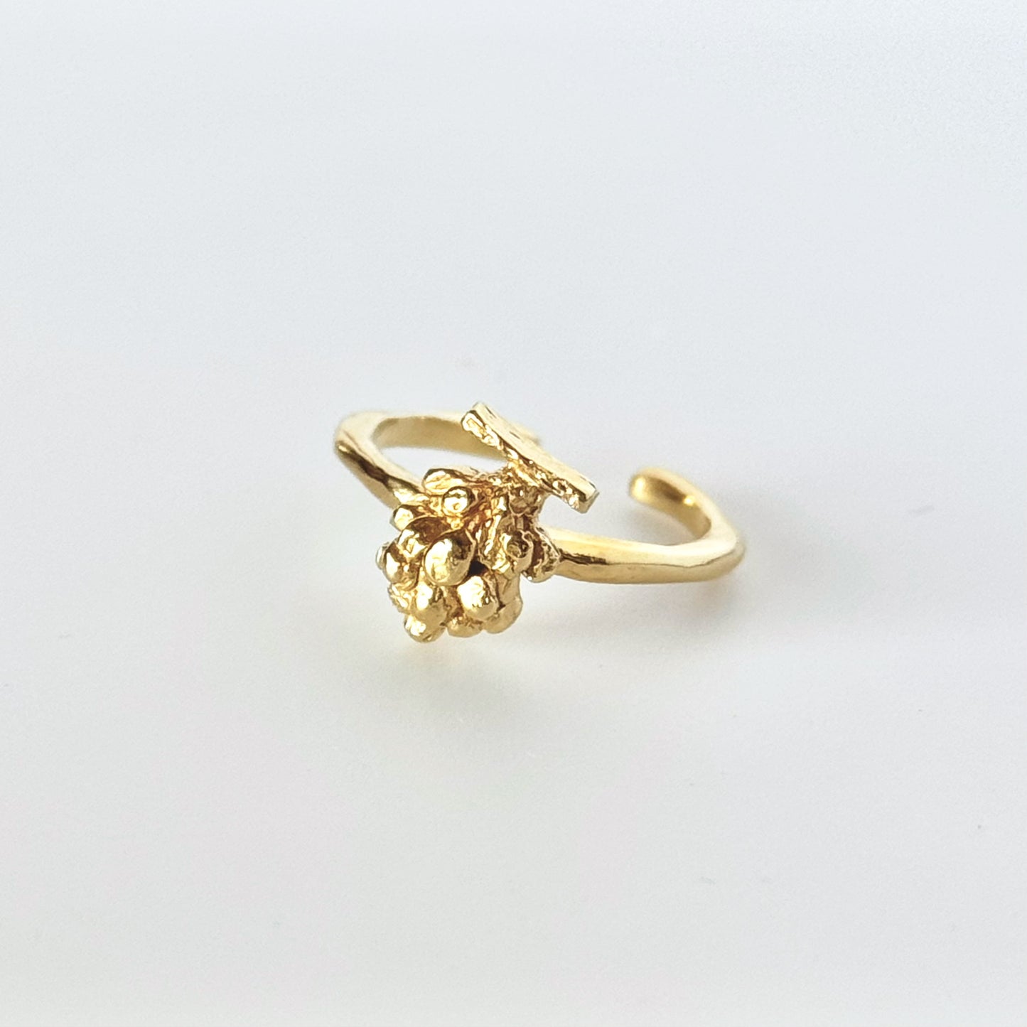[ gold ] grape pinky
