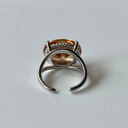 [ champagne ] reine silver