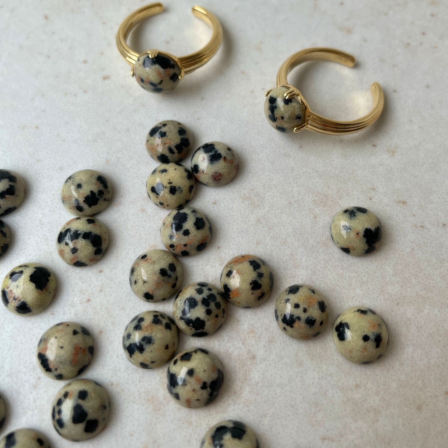 [ dalmatian ] croissant gold