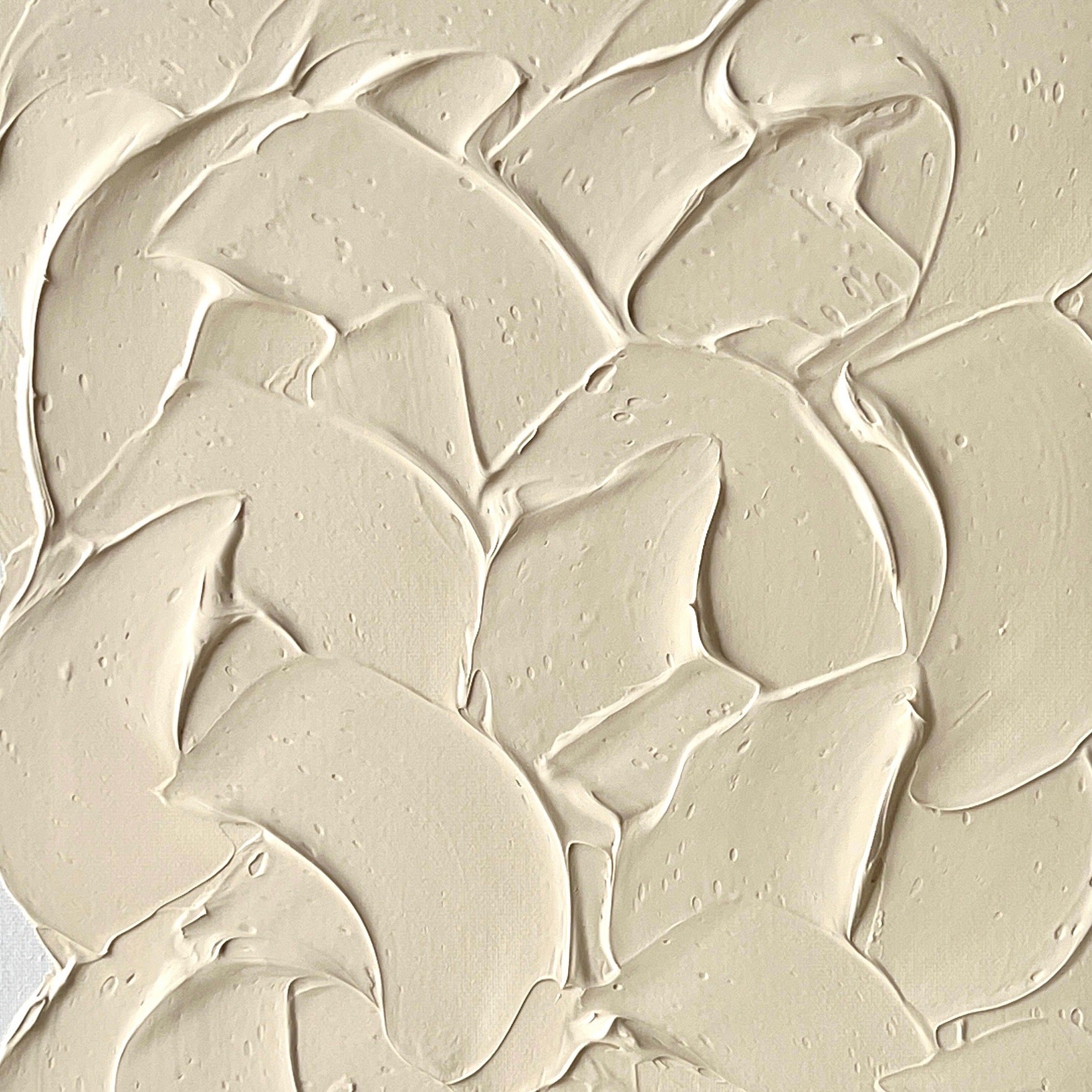 BUTTER ] CREAM TOAST / F6 – POMUM&ARTS