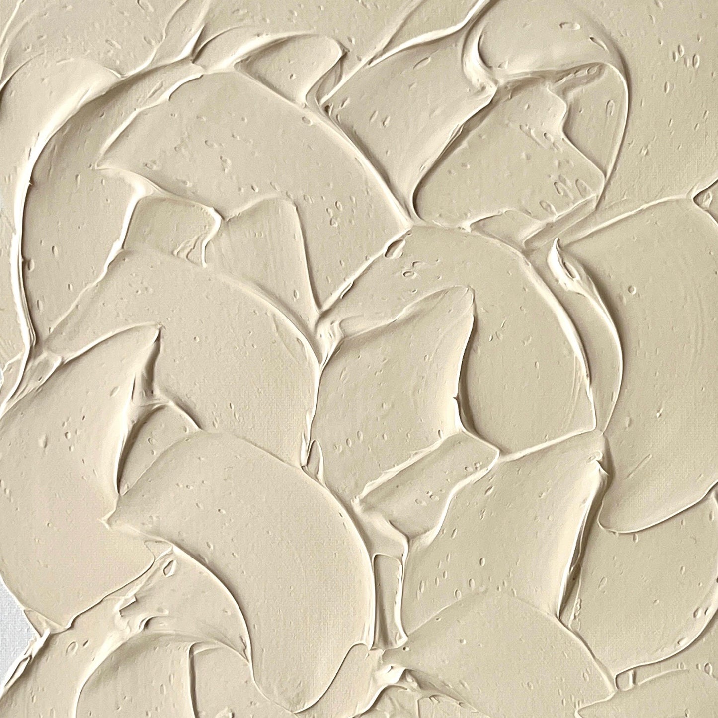 [ BUTTER ] CREAM TOAST / F6