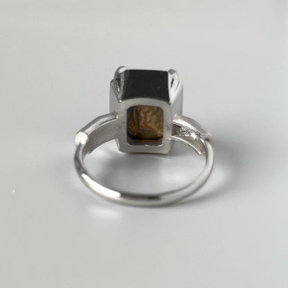 [ vintage amber ] éclat silver